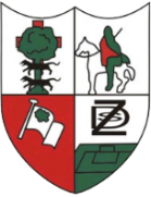 Замудио logo