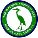 Бигглсвейд Таун