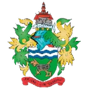 Чертси Таун