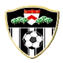 Алсагер Таун