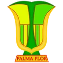Атлетіко Палмафлор