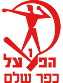 Хапоель Кфар Шалем
