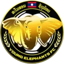 Молодой слон