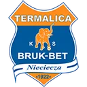 Термалика Нецеча