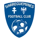 Саррегуэмины