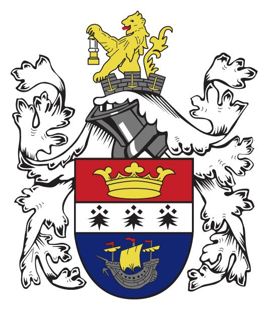 Бліт Таун logo
