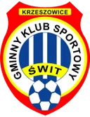 Сталь Жешув