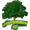 Черно море