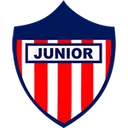 Юношеский футбольный клуб