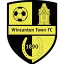 Винкентон Таун