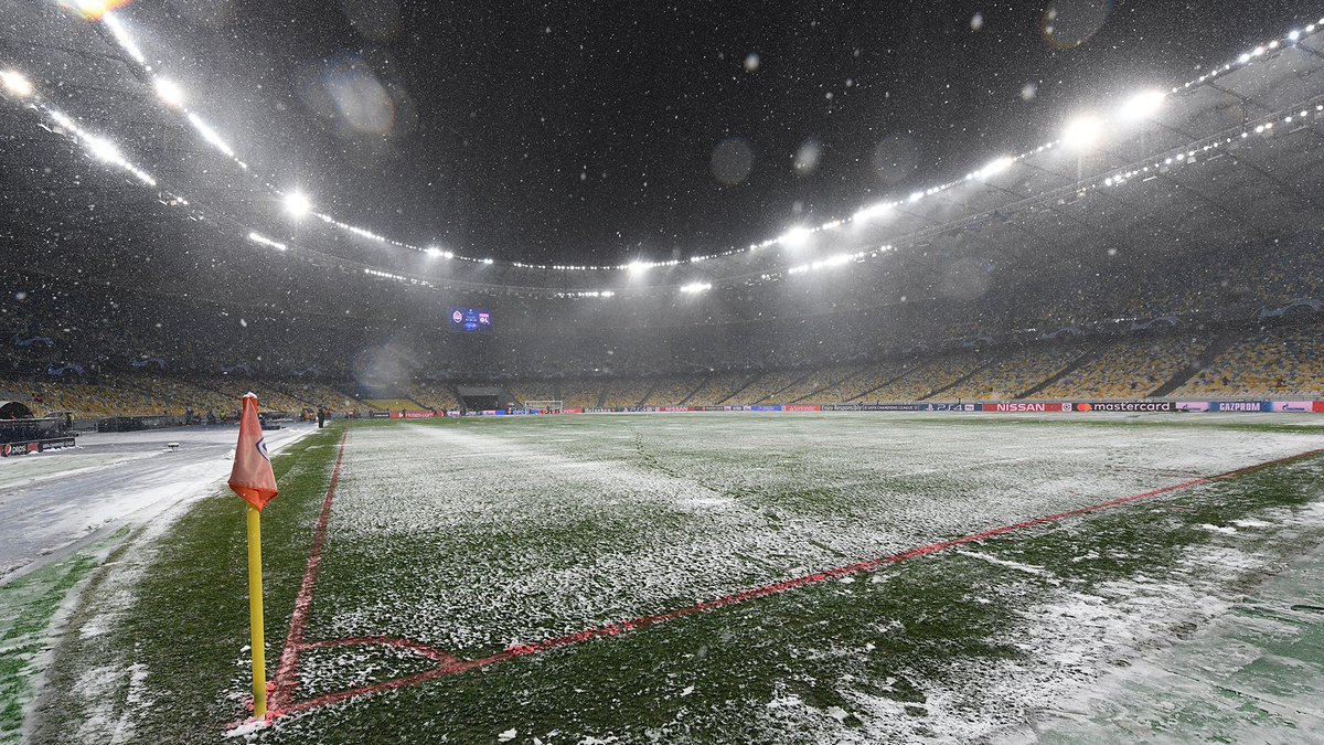 dinamo bryugge agronom nsk