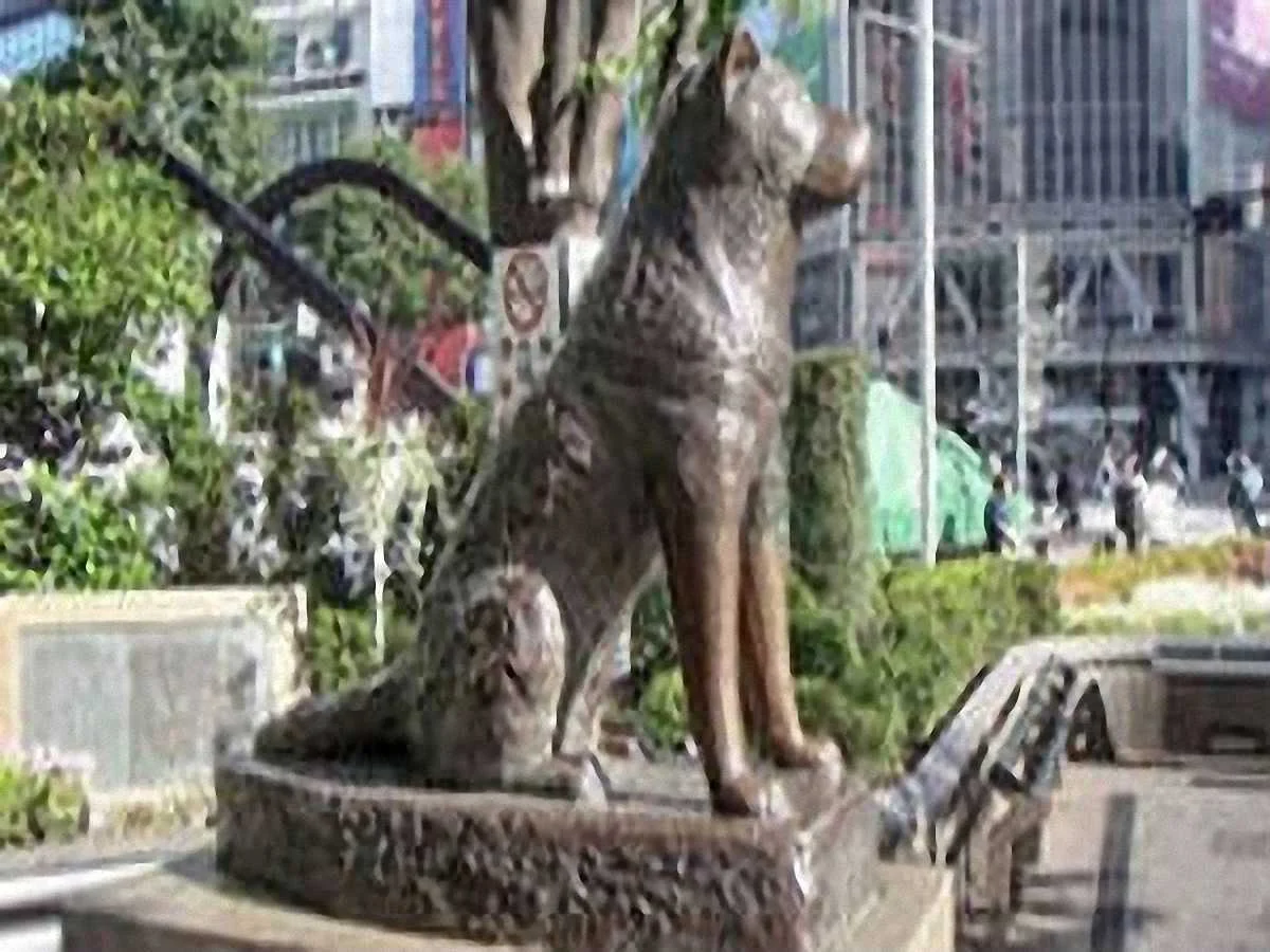 Фото до новини:  "Вірні пси"