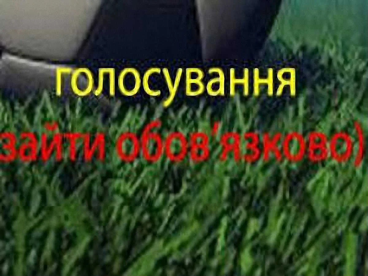 Фото до новини: Конкурс"Найрозумніший вболівальник-...!"