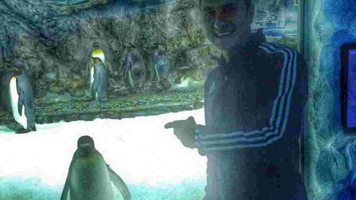 Пінгвін, водоспад та бухта. Футболісти збірної України U-20 у Новій Зеландії