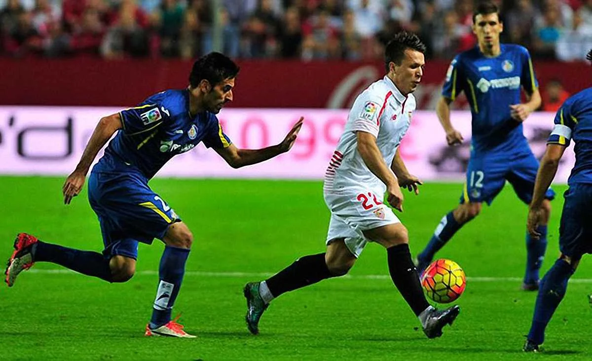 Коноплянка феєрив / фото ElDesmarque