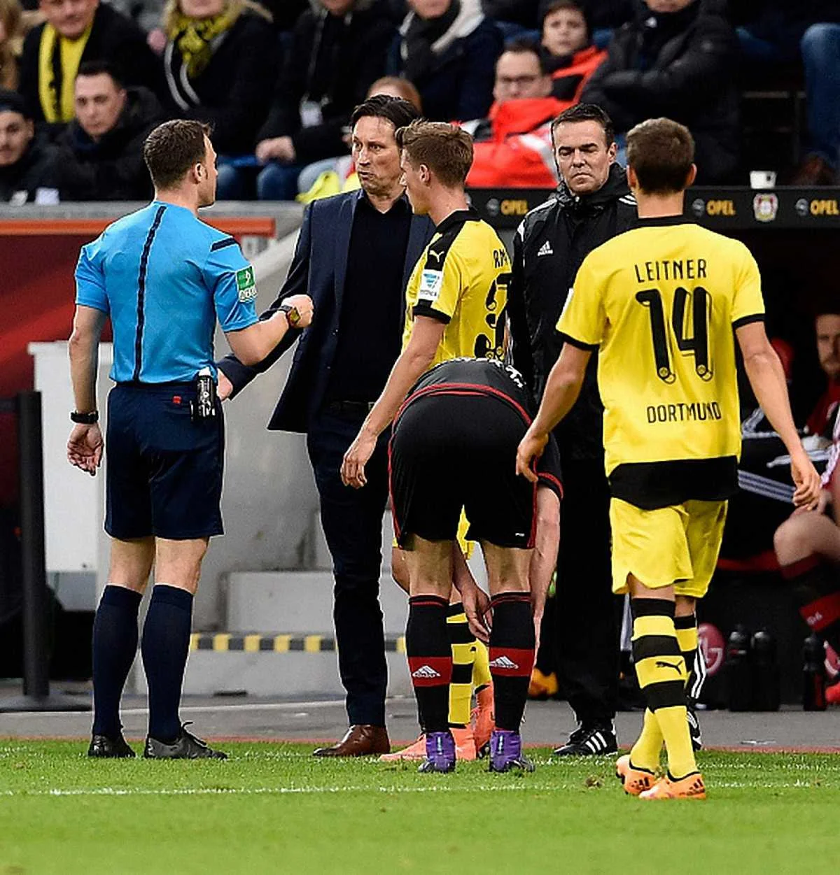 Удаление Роджера Шмидта / Фото Getty Images