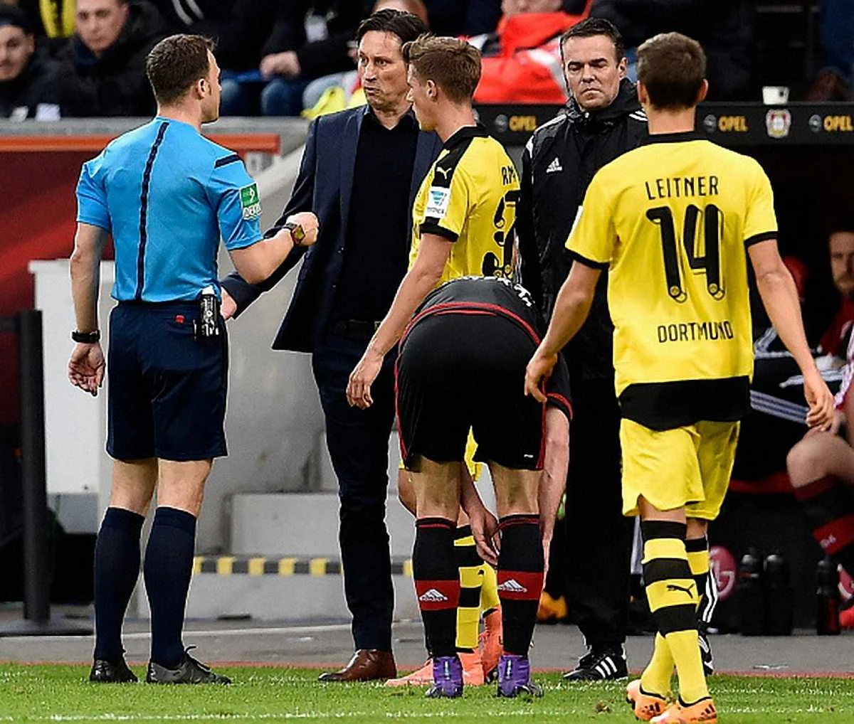 Рогер Шмідт не послухався Фелкса Цваєра / фото Getty Images