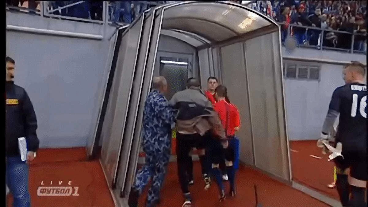 Драка в матче "Заря" - "Днепр" / фото из соцсетей