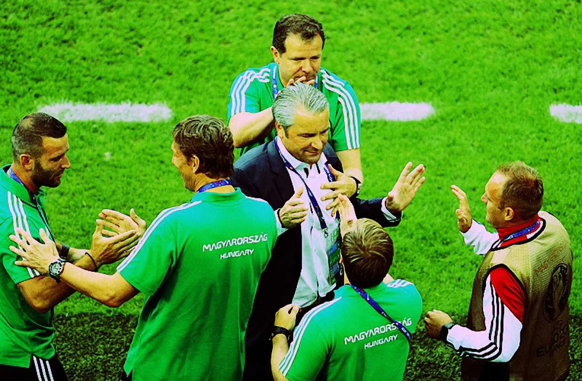 Бернд Шторк поднял сборную Венгрии / Getty images