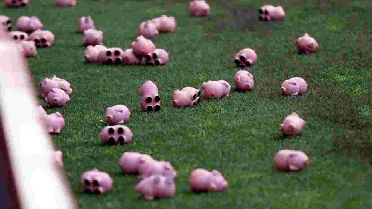 Фанати викинули на поле сотні свиней і зупинили матч у третьому англійському дивізіоні 