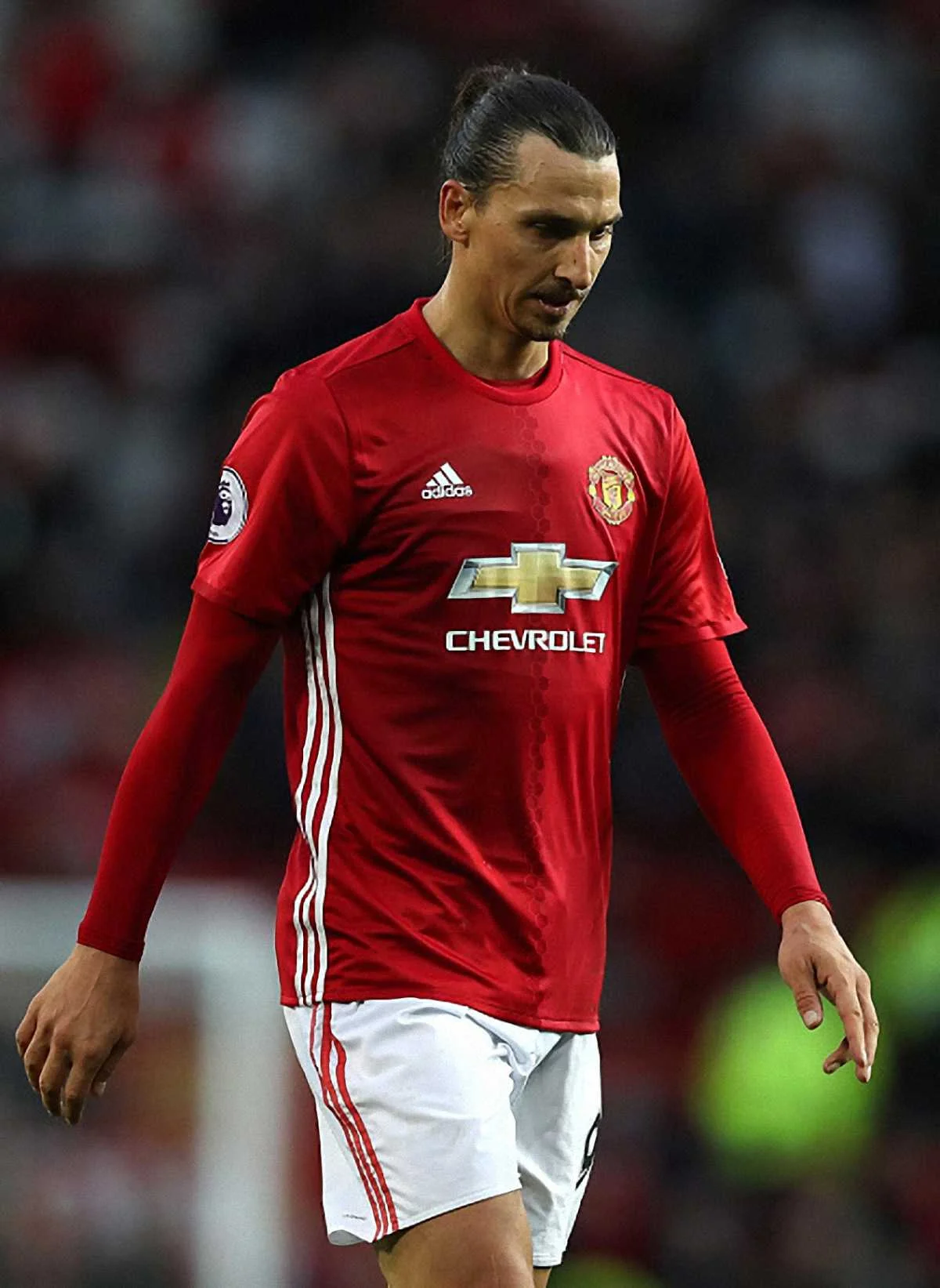 Златан Ибрагимович / Getty Images