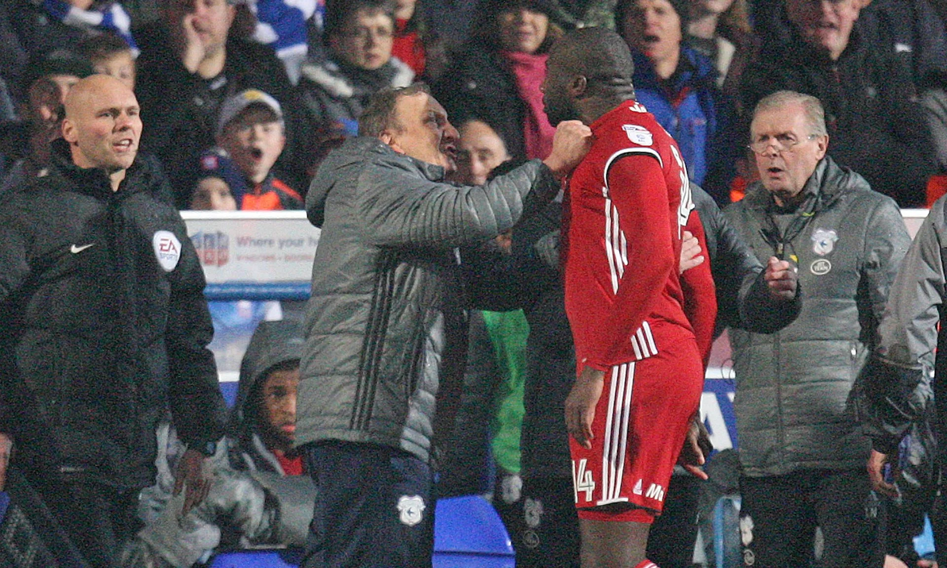 Бамба и Ворнок / фото Huw Evans/Rex/Shutterstock