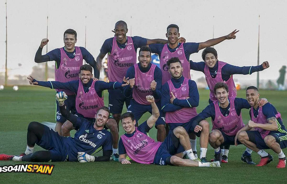 Коноплянка и компания в "Шальке"