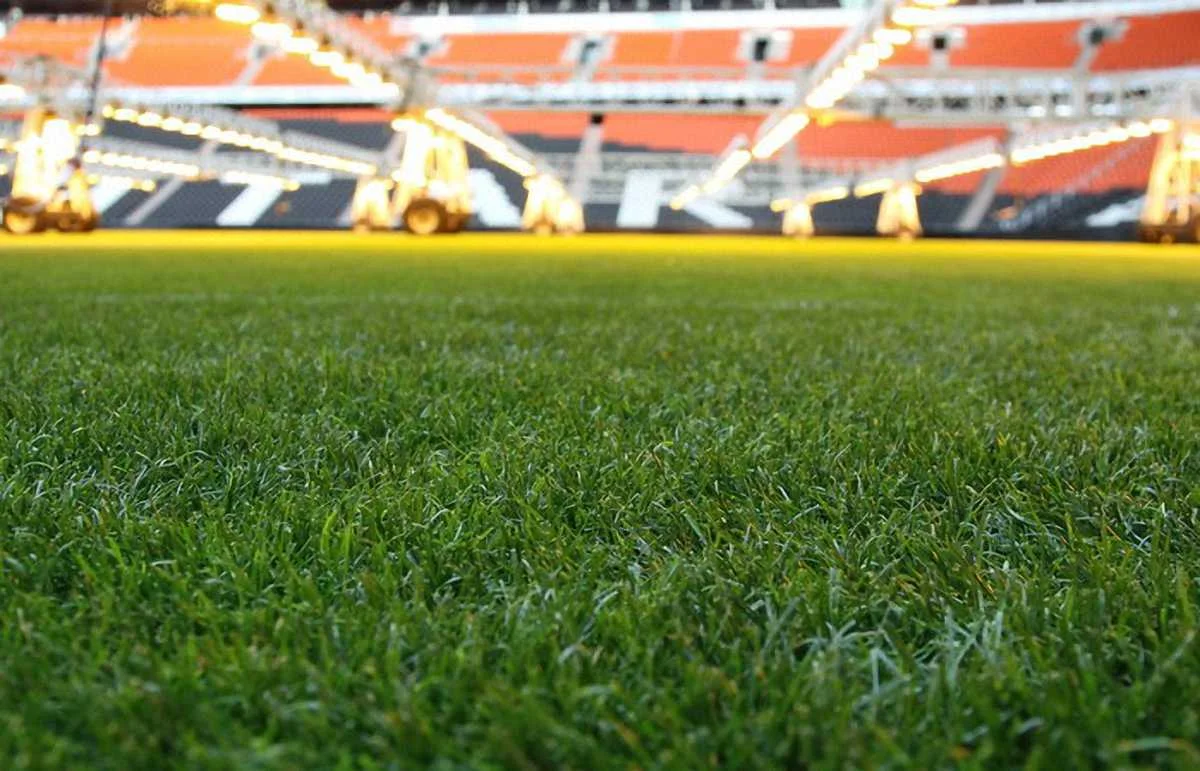 Как выглядел газон "Донбасс Арены" при Украине