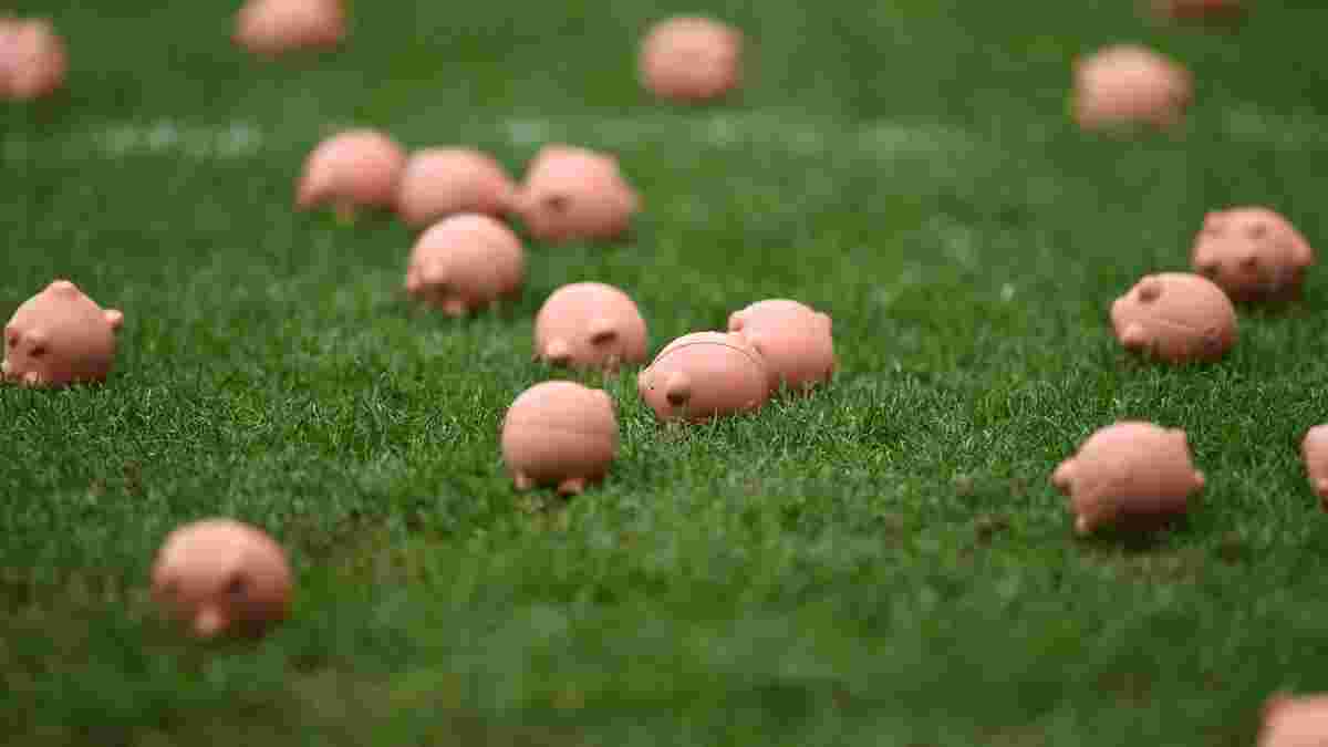 "Ковентри" – "Чарльтон": Фанаты забросали поле пластиковыми свиньями и дважды прервали матч