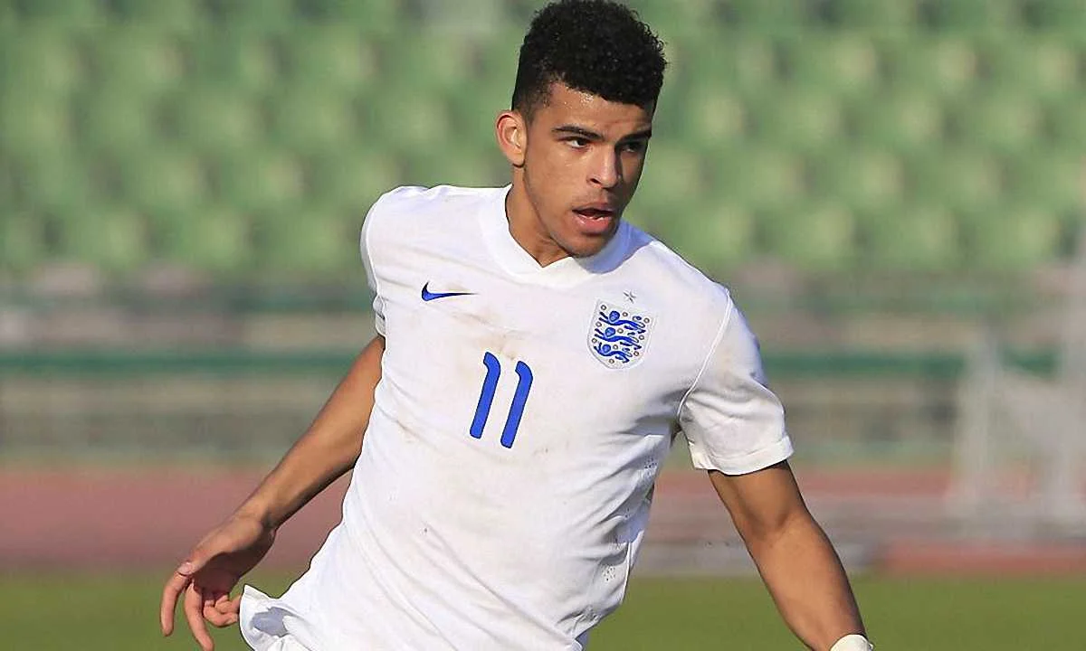 Домінік Соланке