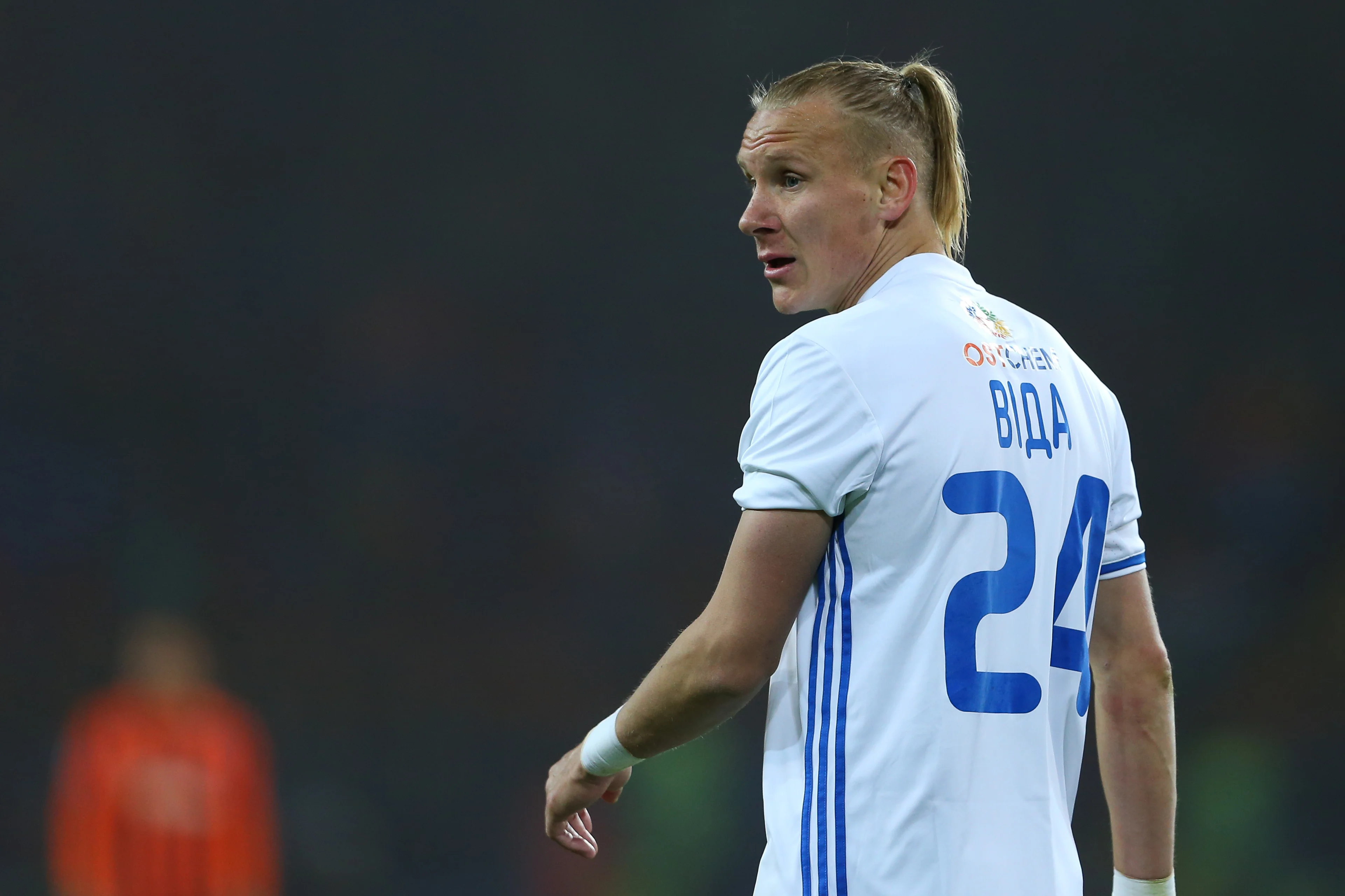 Домагой Вида