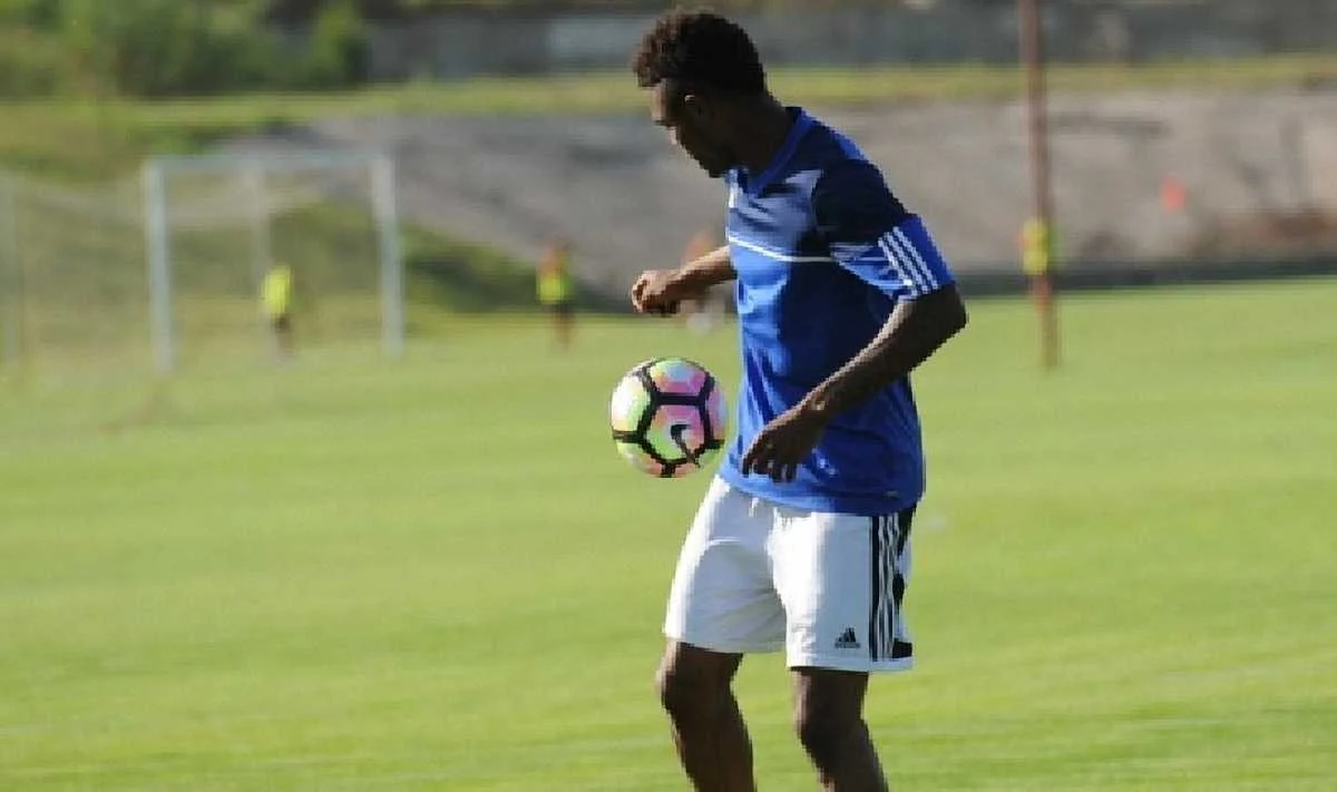 Потенційний новачок Зорі