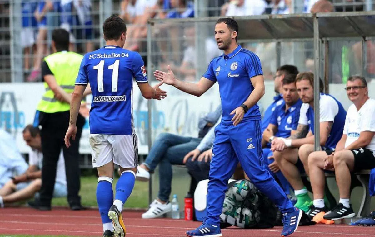 Коноплянка в Шальке / Twitter