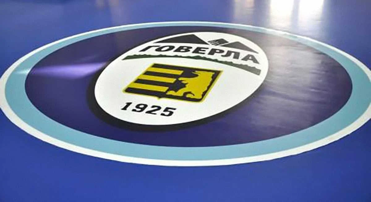 Суд начинает рассмотрение дела о банкротстве Говерлы