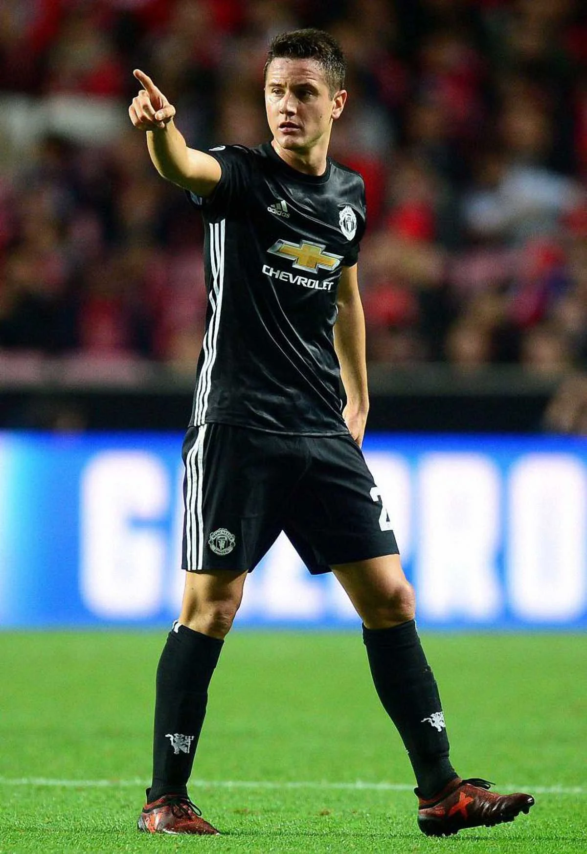 Андер Еррера