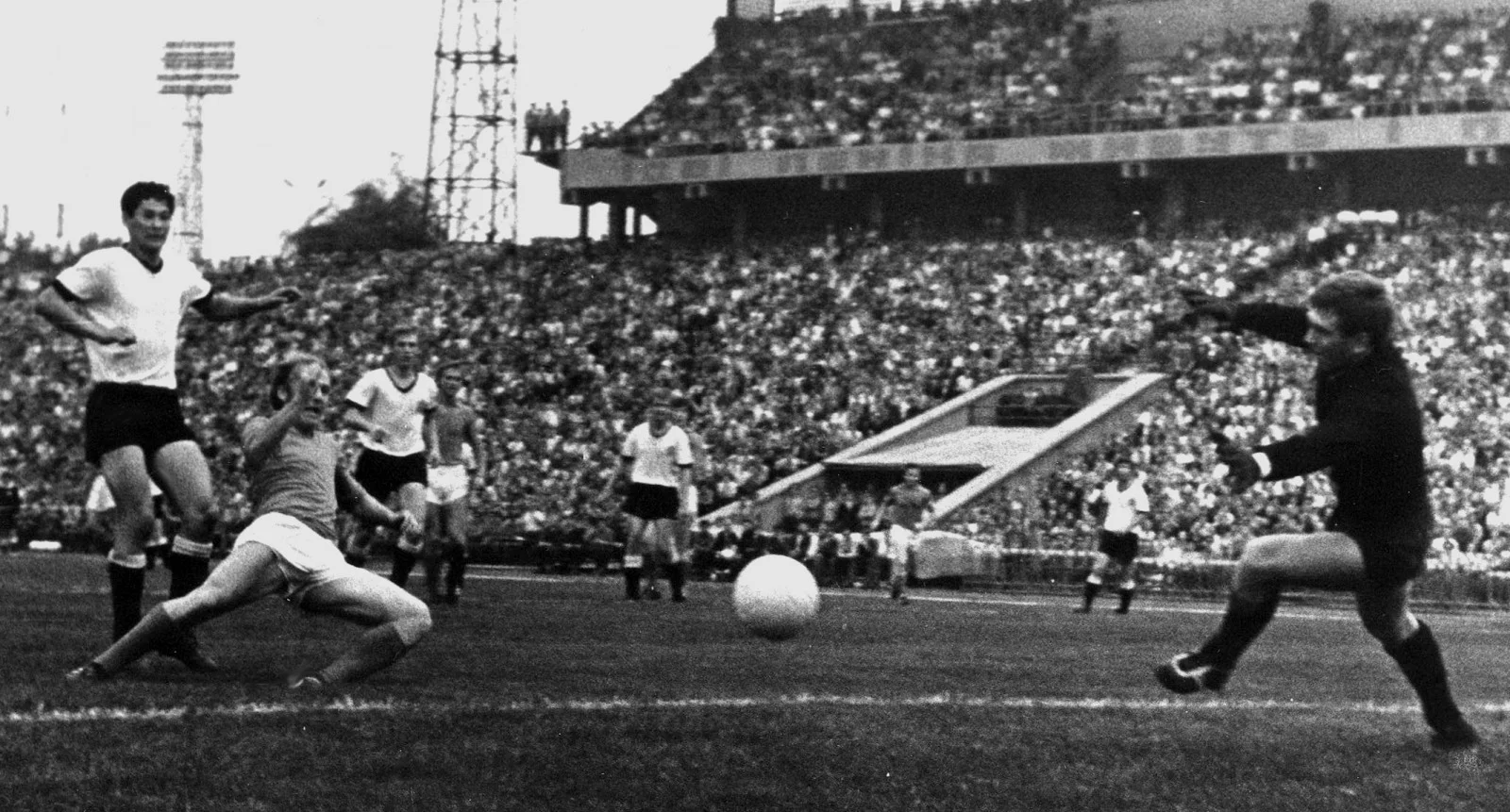 Виктор Романюк атакует / Соцсети