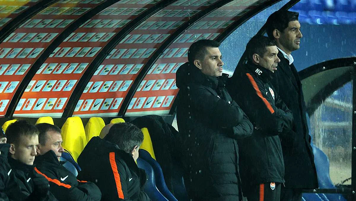 Паулу Фонсека / ФК Шахтер