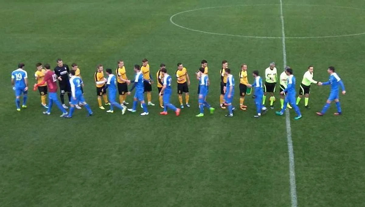 Александрия – Пюник, фото ФК Александрия