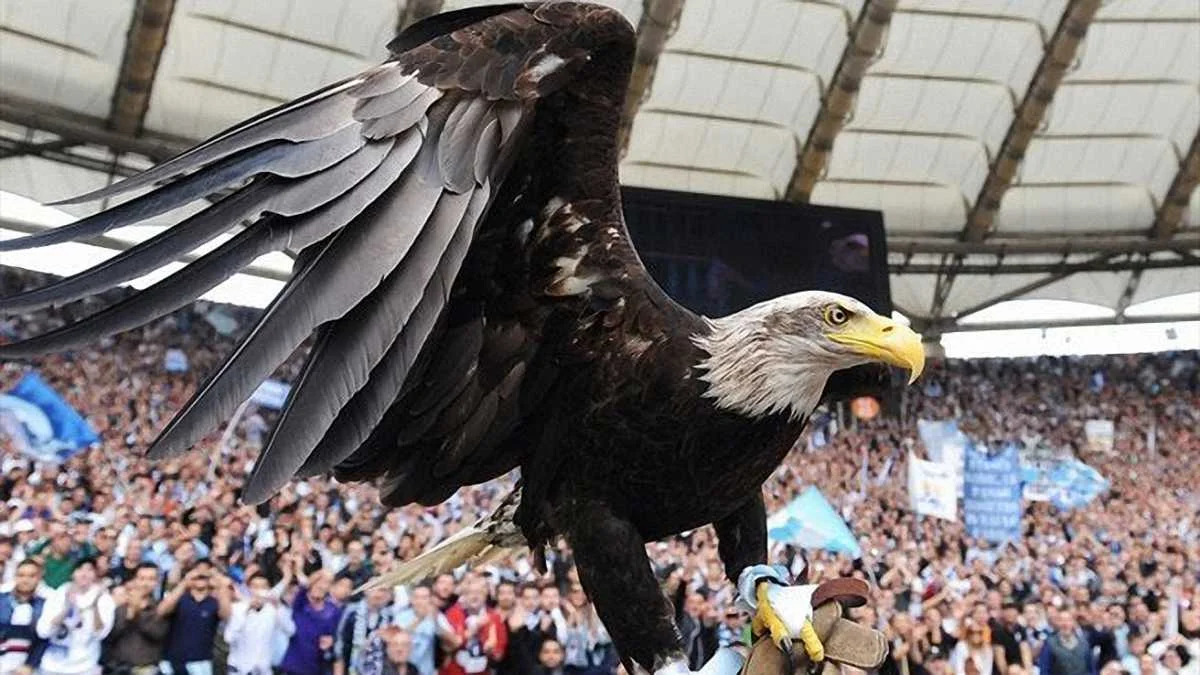 Лаціо – Динамо. Анонс матчу / uefa.com