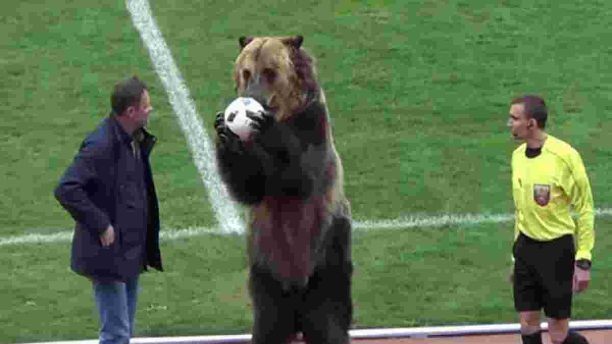 Ведмідь передав м'яч арбітру перед матчем чемпіонату Росії – зоозахисники обурені