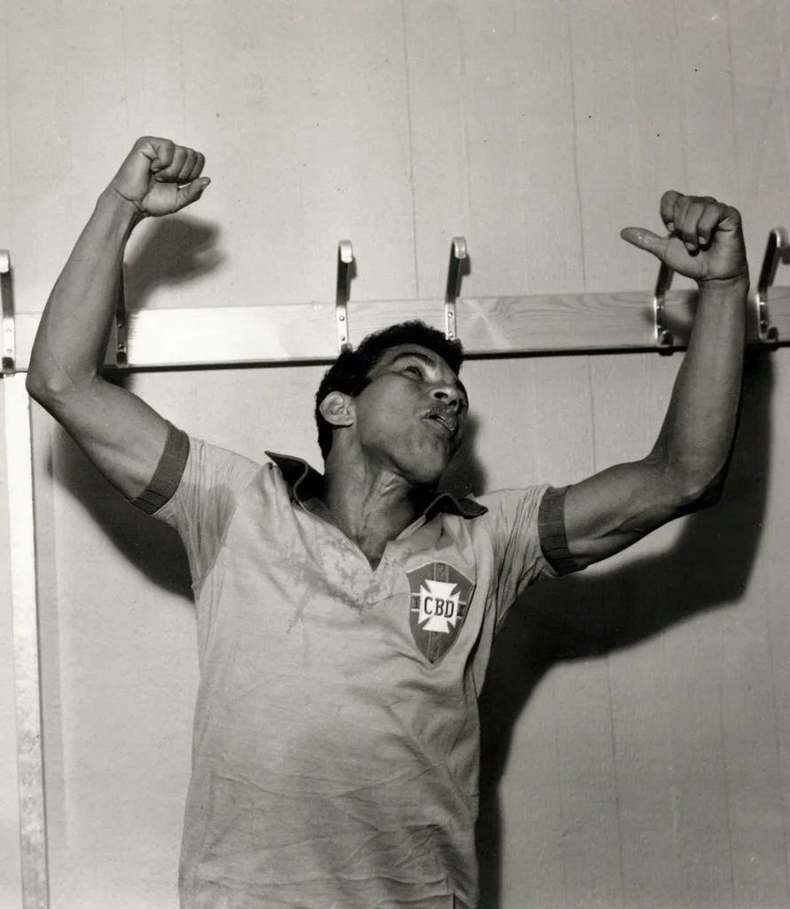 гаррінча гаррінча