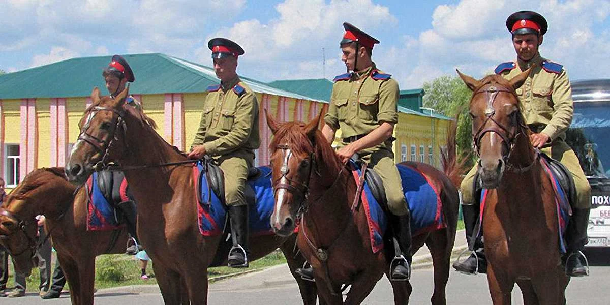 Ростовські "козаки" / соцмережі