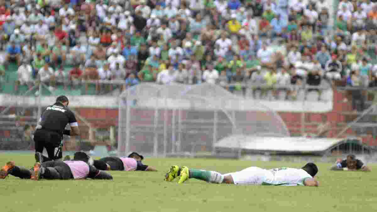 В Эквадоре из-за атаки пчел все футболисты и арбитр легли на газон