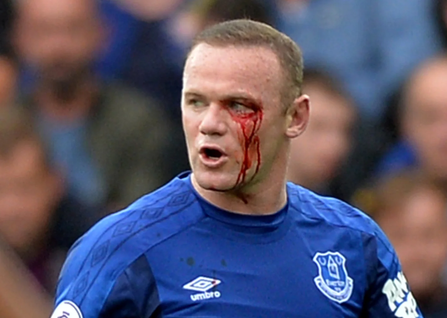 Вейн Руні / Фото з соцмереж