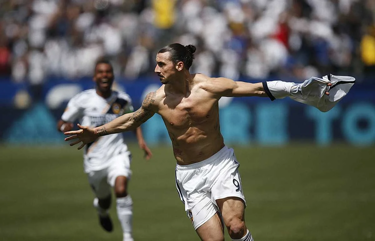 Златан Ібрагімовіч / фото із соцмереж