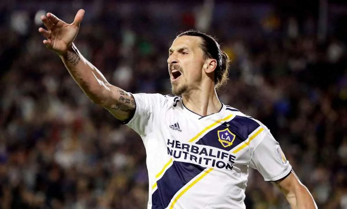 Златан Ибрагимович / фото из соцсетей