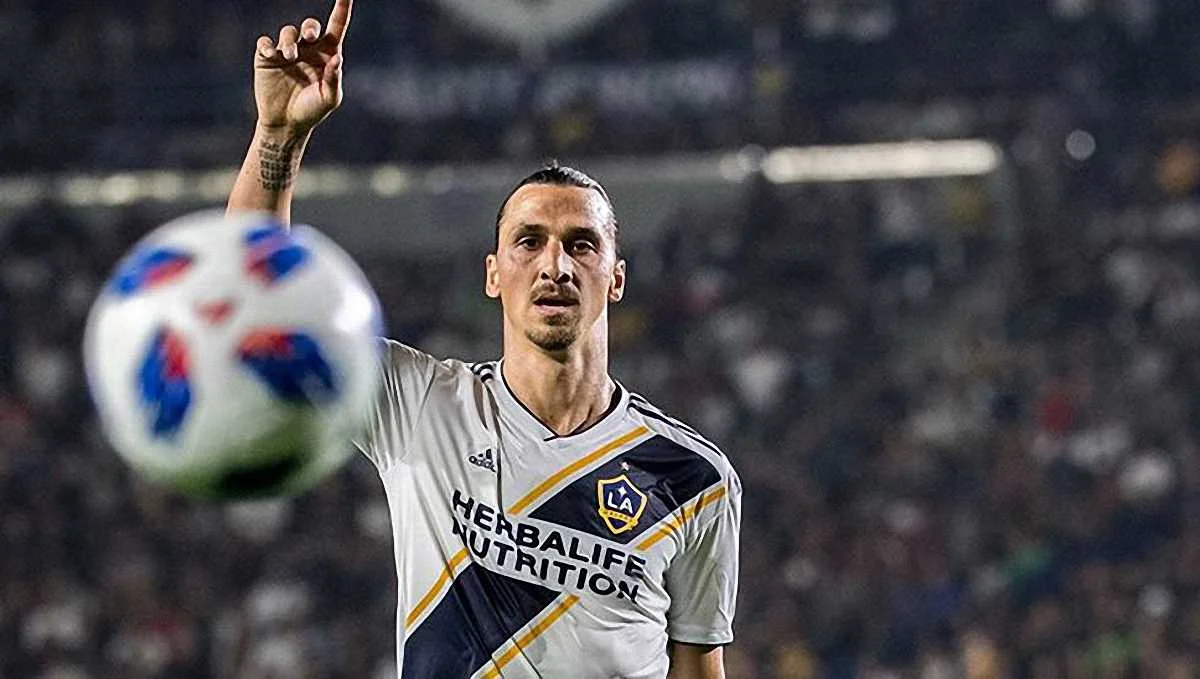 Утка затмила Ибру