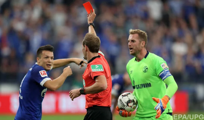 коноплянка