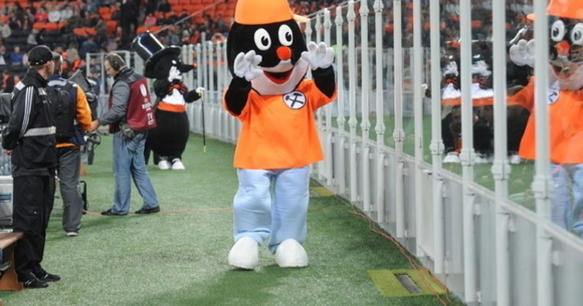 Крот – символ футбольного клуба Шахтер / соцсети