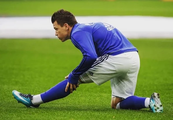 коноплянка коноплянка